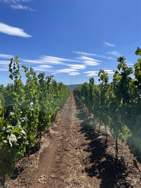 cristom vineyards coupon codes  Louise Dinkelspiel was Paul Gerrie’s maternal grandmother, and the 18-acre vineyard