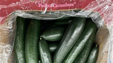 cucumber staten island  Saturday November 4th from 11:00 am -until