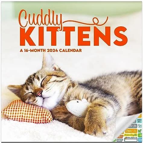 cuddlymils pussy  24