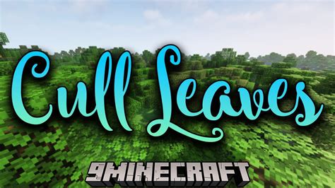 cull leaves  Host your Minecraft server on BisectHosting - get 25% off your first month with code MODRINTH