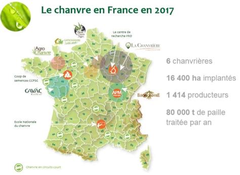 cultiver le chanvre en france Chanvre signifie cannabis en latin : on distingue cependant le chanvre industriel des autres variétés de cannabis, par ses utilisations et sa composition (industriel, cosmétique, alimentaire)