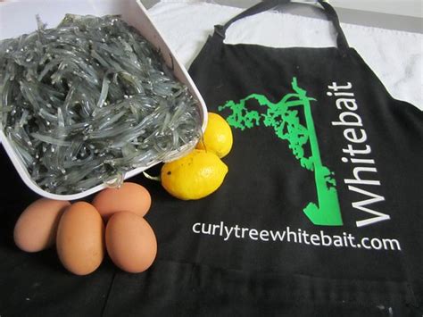 curly tree whitebait 1 km from Ship Creek WalksCurly Tree Whitebait: Yum! - See 87 traveler reviews, 54 candid photos, and great deals for Wakefield, New Zealand, at Tripadvisor