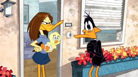 daffy ducks girlfriend name  Looney Tunes and Merrie Melodies series of cartoons and the preschool spin-off Baby Looney Tunes as a main character