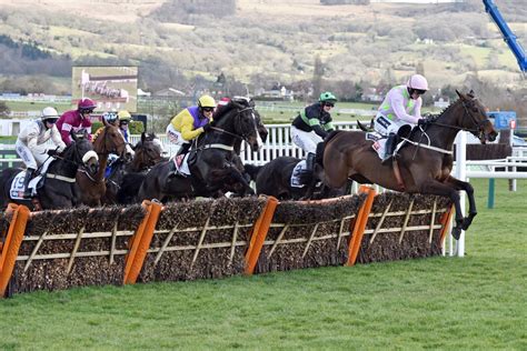 dawn run mares novice hurdle  2nd