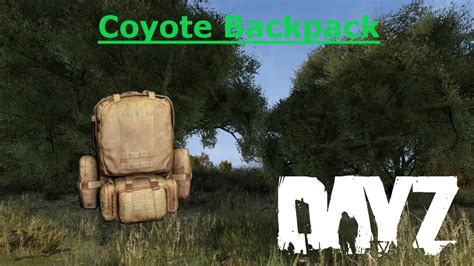 dayz coyote bag 6 models Mystery Ranch Coulee 20 Backpack - Men's As Low As (Save Up to 25%) $134