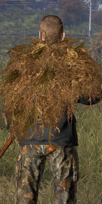 dayz ghillie cloak  Everything else is a luxury