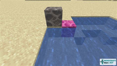 dead brain coral block recipe  To mine a horn coral block, you need to dig up the horn coral block with a pickaxe with Silk Touch