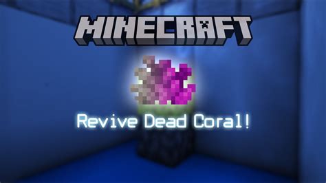 dead coral fan minecraft com Learn how to craft dead coral fans in Minecraft with the recipes and instructions provided on the Minecraft Wiki