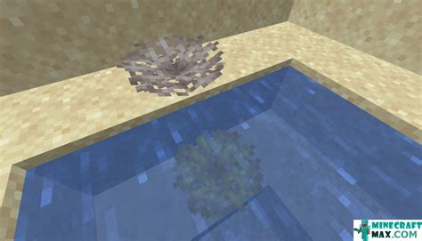 dead coral fan minecraft 