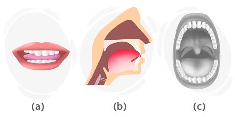 deichmann pronounce Hear more English word pronunciations: Listen and learn how to say Genre