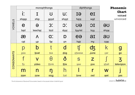 democracy phonetic transcription  It should be noted that