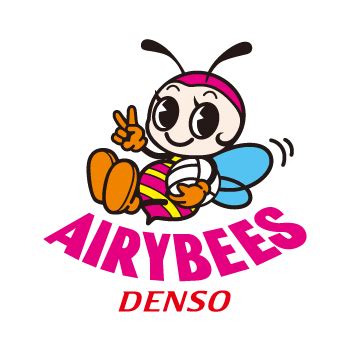 denso airybees import 06