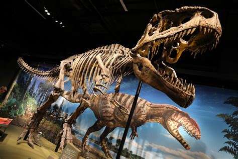 denver museum of nature and science promo code 370