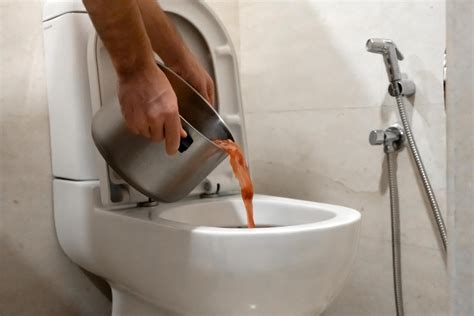 desentupir vaso sanitário são paulo  Desentupidora em São Paulo, Interior, litoral - Ligue: 0800 777 5555