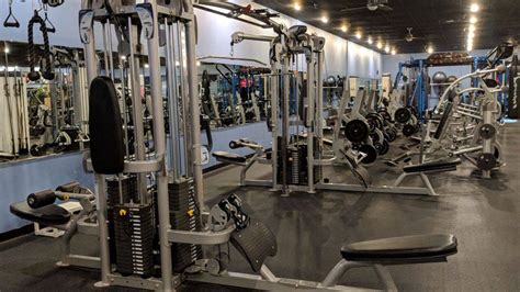 designer bodies 'world class gym' photos 