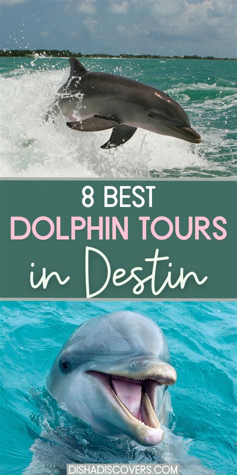 destin dolphin tours  Book your dolphin cruise today! Don’t hesitate the contact us at (850) 739-3175 with any questions, or book online through our charter booking portal