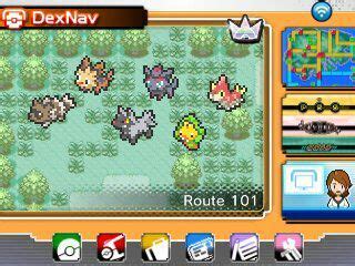 dexnav chaining The length of the chain has no effect, just USING Dexnav gives a improved Shiny Rate