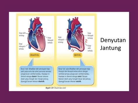 diastolik adalah , 2019) Hipertensi, yang dikenal sebagai silent killer