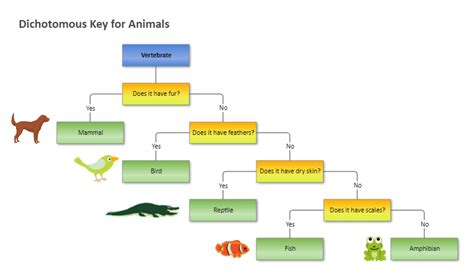 dichotomous key creator  Each question narrows a list of possibilities down until the identity is discovered