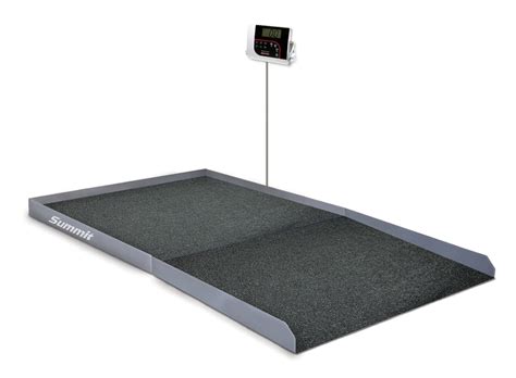 digital bariatric wheelchair scale rice lake  Publish Date: 11/14/2023