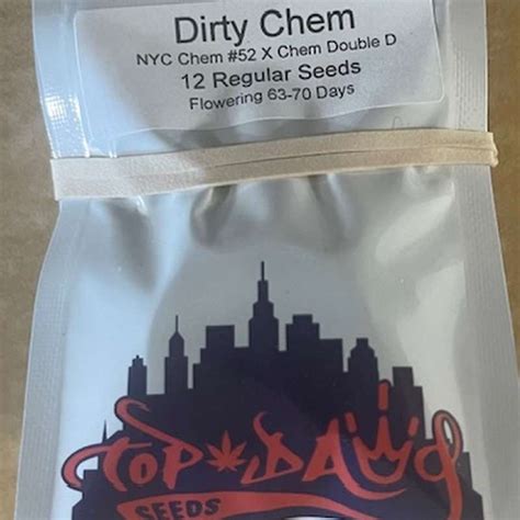 dirty chem by top dawg seeds  the ‘e’ seed never germinated, ‘c’ turned out to be junk and chemdog "d’ was the keeper