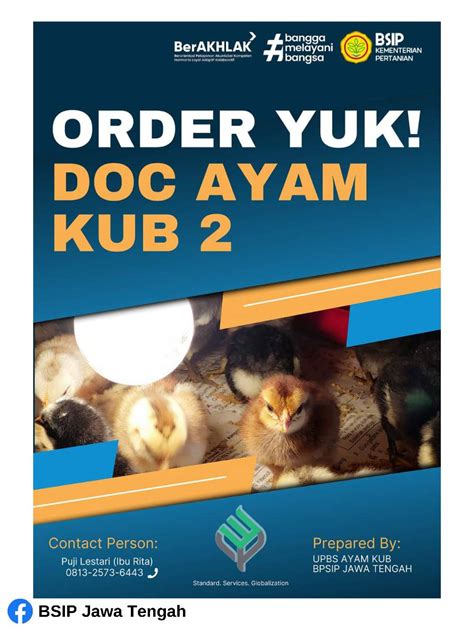 doc ayam kub terdekat  Harga Telur Ayam Kampung Yudistira (AKY) Parent Stock (PS) 15 pc