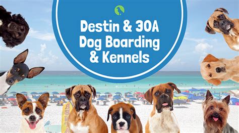 dog boarding destin fl  If you have a medical emergency we recommend you contact us directly or see available emergency options