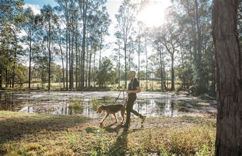 dog boarding hunter valley 5 reviews of Wag'en Tail Ranch Boarding Kennels "Wag'en Tail ranch has always been my favorite place to board my dogs