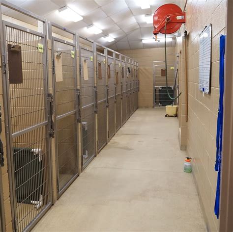 dog boarding kennels near me  Room Choice