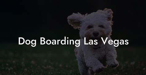 dog boarding las vegas  All dogs are required to pass a behavioral evaluation, be spayed/neutered if older than 8 months, and be current on shots