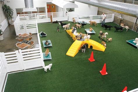 dog daycare valparaiso Submit Your Happy Tail