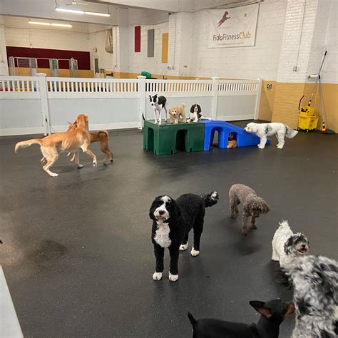 dog daycare woodinville  Apply to Dog Walker, Customer Service Representative, Agent and more!Lucky Dog Resort is a fun, safe and friendly place for dogs that need vacations