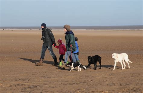 dog friendly beach lincolnshire  Golden Sands even has a dedicated obstacle course for furry ones to enjoy
