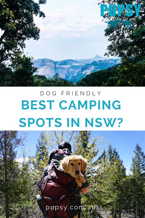 dog friendly camping gold coast  An easy 30 minutes south of Coffs Harbour on the NSW mid-north coast and just down the road from the village of Urunga, the Hungry Head cabins are in a prime location for all things surf