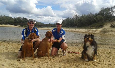 dog sitting sunshine coast Choosing the right pet care service, however, can dissolve any anxiety immediately