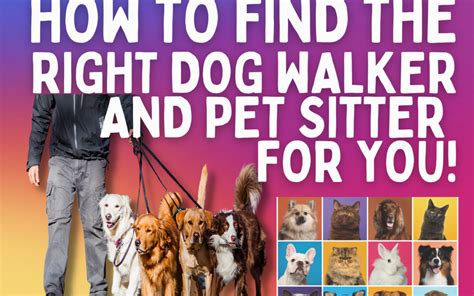 dog walker snohomish  Facebook; Twitter; Youtube; Yelp; 212-874-6335; Client Login; Become a Walker; Home; About;10 Signs of Puppy Scams