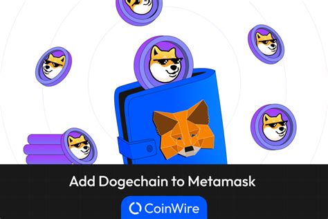 dogechain surfdoge talkerbee