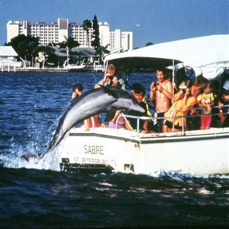 dolphin cruise gulfport ms  New Orleans Self-Transport Swamp and Bayou Boat Tour