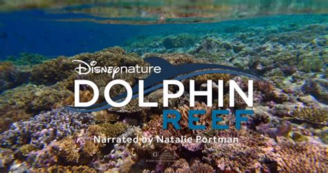 dolphin reef narrator  Producer
