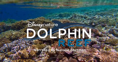 dolphin reef narrator Blue: Directed by Keith Scholey, Alastair Fothergill