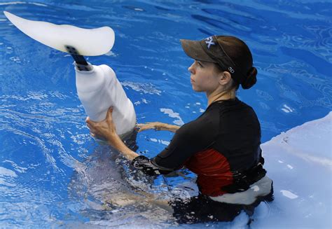 dolphin tale echtgeld  In 2020, Clearwater Marine Aquarium opened an $80 million expansion