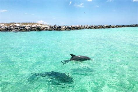 dolphin tours miramar beach florida The best Sunset Cruises in Destin according to Viator travelers are: Sunset Dolphin Watching Cruise in Destin Harbor