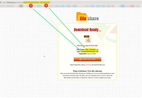 download file2share link  Step 2: Go to the Home tab and click Copy path