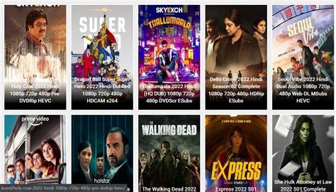 downloadhub.net hindi movies 2022 Movies da 2023 Bollywood Movies Download, Punjabi, Hollywood, South ,Tamil, Telugu Hindi Dubbed 300MB