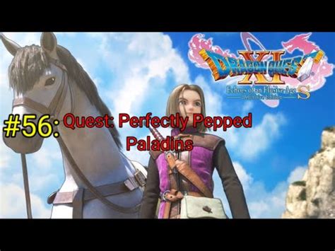 dq11 perfectly pepped paladins  114