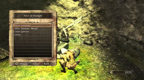 ds2 blue seal  Very rarely drops an additional awestone