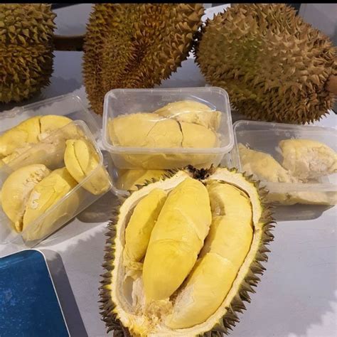 durian muara  Jumat, 20 Januari 2023, Pengadilan Agama Muara Teweh mengadakan jumat sehat yang diikuti oleh seluruh pegawai