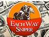 eachwaysniper  In this example, Each Way Matcher advises a lay bet of £2