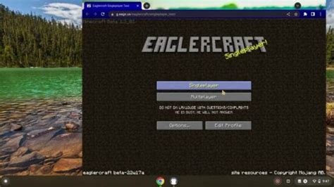 eaglecraft online  Hyper and Asspixel and blobcraft are blocked, and I want more other ones