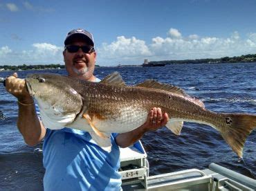 easy livin charters When you take a shrimping excursion with Captain Tommie Jarman of Reel Livin’ Fishing Charters in Sneads Ferry, you can help with the catch (or watch the pros at work)